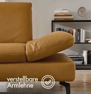 Couchliebe Ledersofa